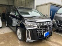 2022 Toyota Alphard G