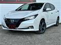 2022 Nissan Leaf