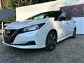 2018 Nissan Leaf