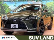 2019 Lexus RX