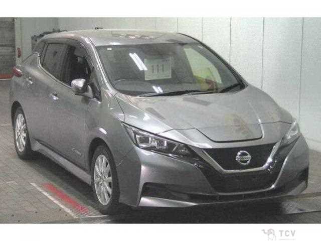 2019 Nissan Leaf