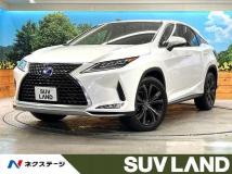 2019 Lexus RX