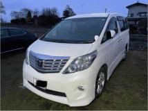 2009 Toyota Alphard G