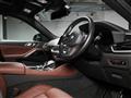 2023 BMW X6