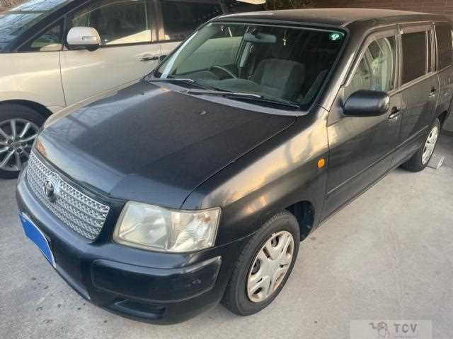 2003 Toyota Succeed Wagon