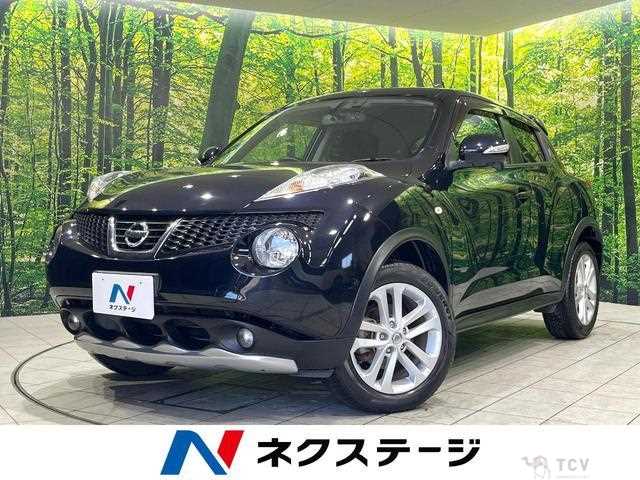 2011 Nissan Juke