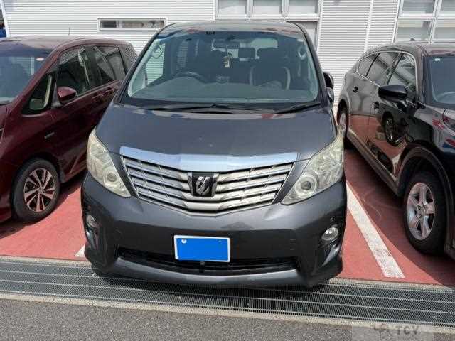 2010 Toyota Alphard G