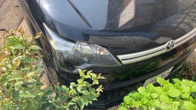 2017 Toyota Toyota Others