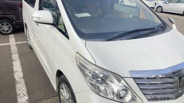 2008 Toyota Alphard G