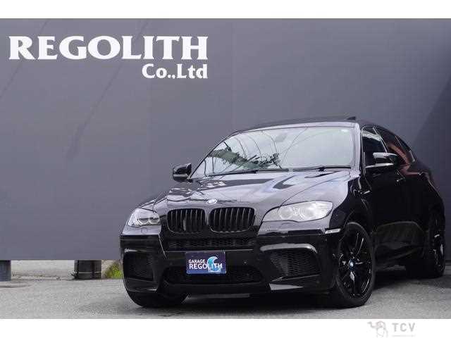 2011 BMW X6