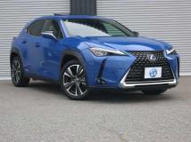 2018 Lexus Other
