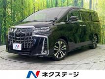 2019 Toyota Alphard G