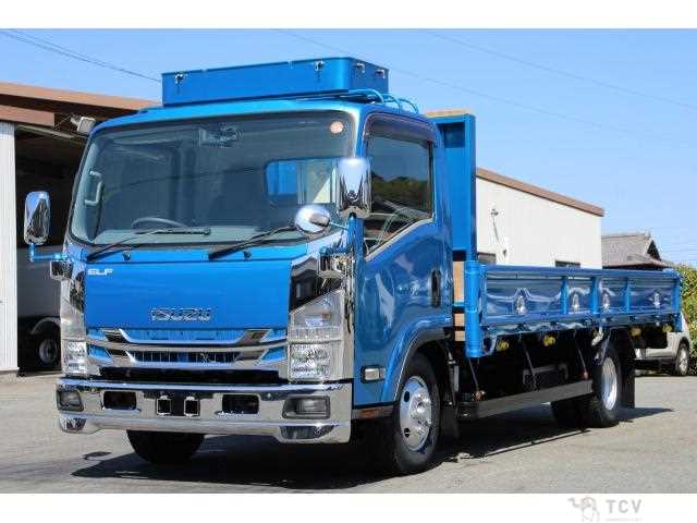 2017 Isuzu Elf Truck