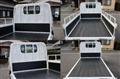 2009 Isuzu Elf Truck
