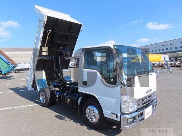 2019 Isuzu Elf Truck