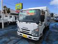 2017 Isuzu Elf Truck