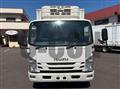 2017 Isuzu Elf Truck