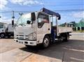 2013 Isuzu Elf Truck
