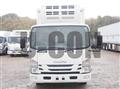 2019 Isuzu Elf Truck