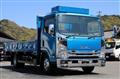 2017 Isuzu Elf Truck