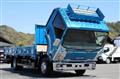 2017 Isuzu Elf Truck