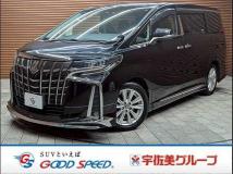 2019 Toyota Alphard G