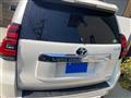 2019 Toyota Land Cruiser Prado
