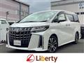 2021 Toyota Alphard G