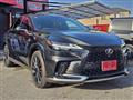 2025 Lexus RX