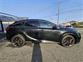 2025 Lexus RX