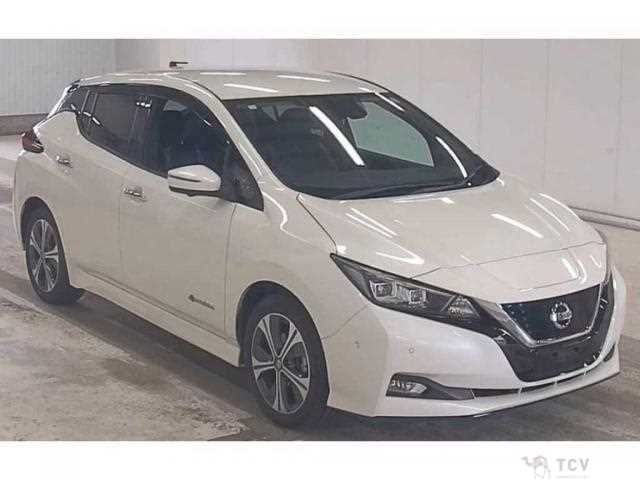 2019 Nissan Leaf