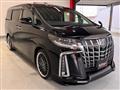 2019 Toyota Alphard G