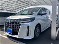 2019 Toyota Alphard G