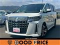 2019 Toyota Alphard G