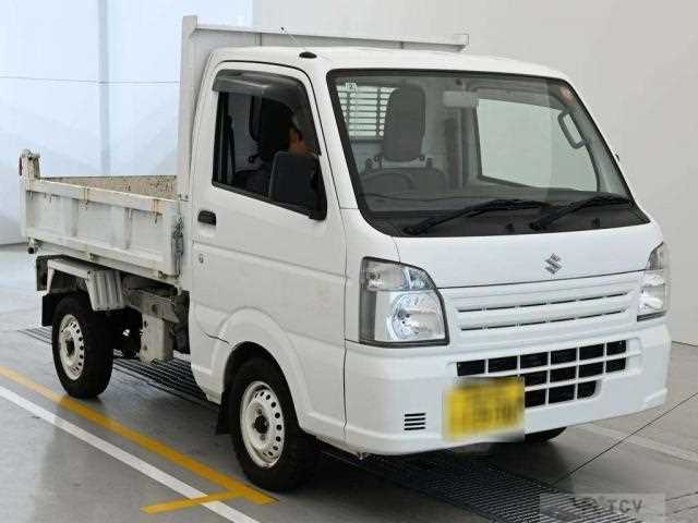 2019 Suzuki Carry Truck