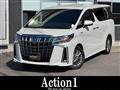 2021 Toyota Alphard Hybrid