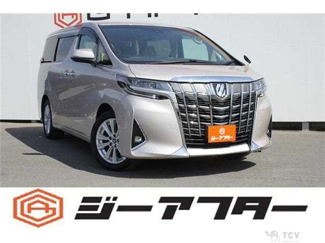 2019 Toyota Alphard G