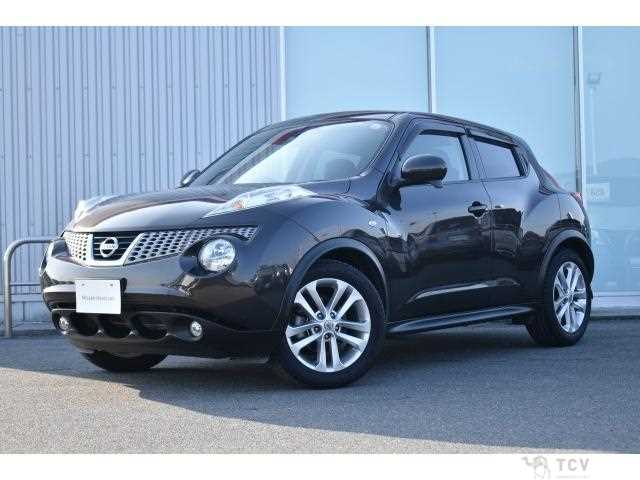 2011 Nissan Juke