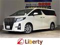 2017 Toyota Alphard G