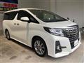 2017 Toyota Alphard G