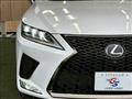 2020 Lexus RX