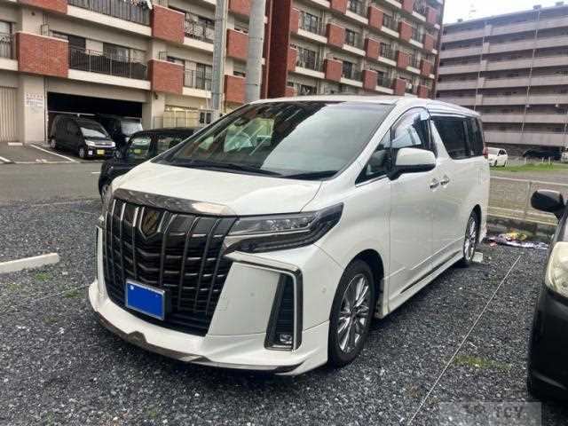 2020 Toyota Alphard G