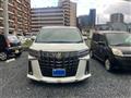 2020 Toyota Alphard G