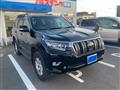 2019 Toyota Land Cruiser Prado