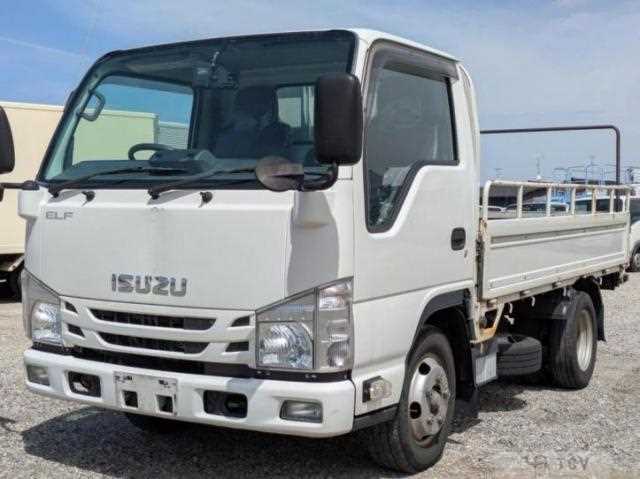 2020 Isuzu Elf Truck