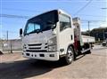 2019 Isuzu Elf Truck