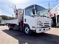 2019 Isuzu Elf Truck