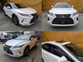 2019 Lexus RX