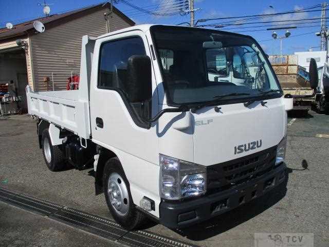 2019 Isuzu Elf Truck