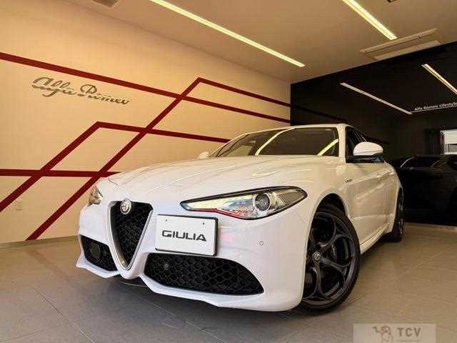 2019 Alfa Romeo Alfa Romeo Others